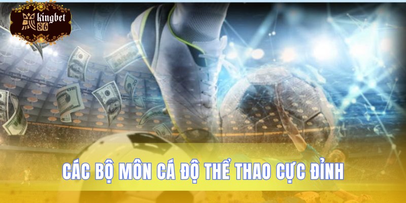 Tổng hợp những môn thể thao cá cược tốt nhất