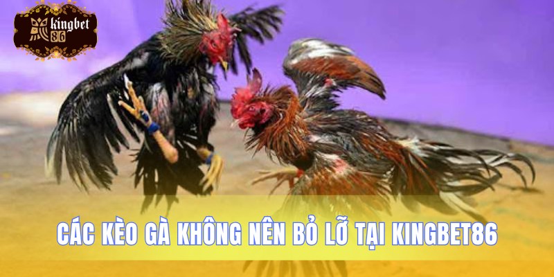 Giới thiệu các loại kèo đá gà hay